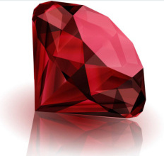 Red Diamond Rhubarb Seed (image for) Red Diamond Rhubarb Seed